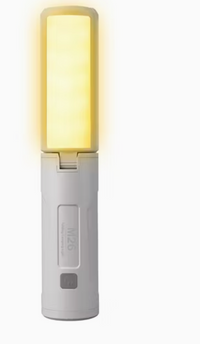 Folding LED Camping Light